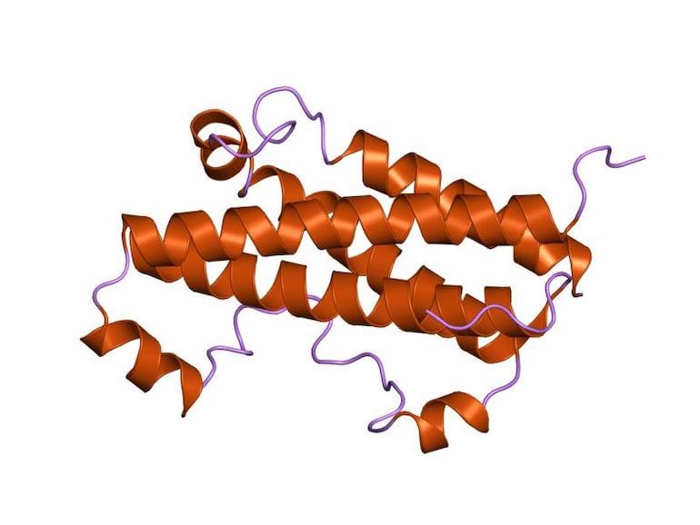 Genmutation - Protein - Gene